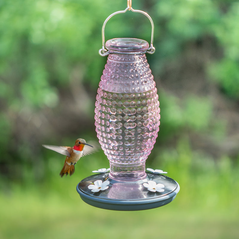 Load image into Gallery viewer, Perky-Pet Hummingbird 16 oz Glass/Metal Nectar Feeder 4 ports
