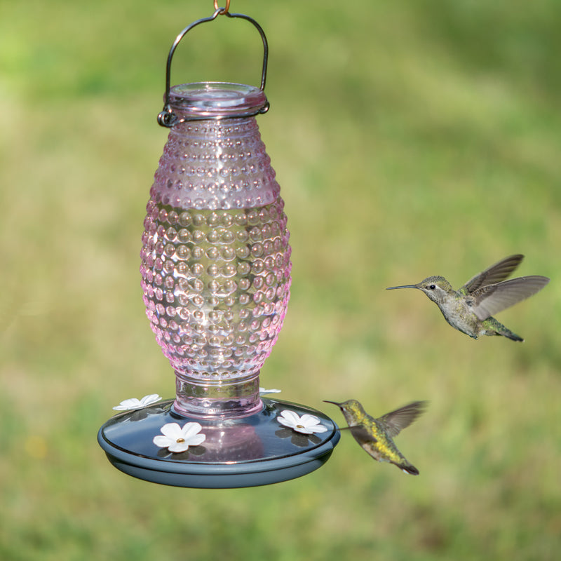 Load image into Gallery viewer, Perky-Pet Hummingbird 16 oz Glass/Metal Nectar Feeder 4 ports
