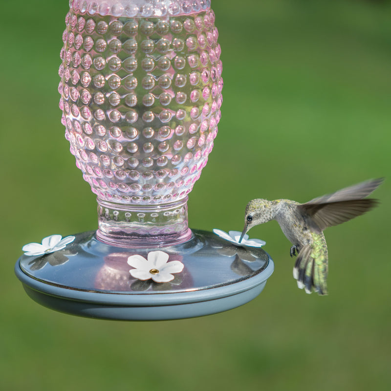 Load image into Gallery viewer, Perky-Pet Hummingbird 16 oz Glass/Metal Nectar Feeder 4 ports
