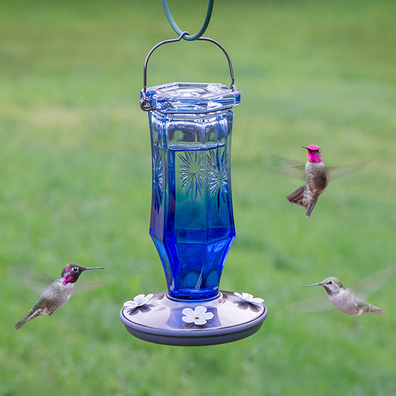 Load image into Gallery viewer, Perky-Pet Hummingbird 16 oz Glass/Metal Nectar Feeder 4 ports
