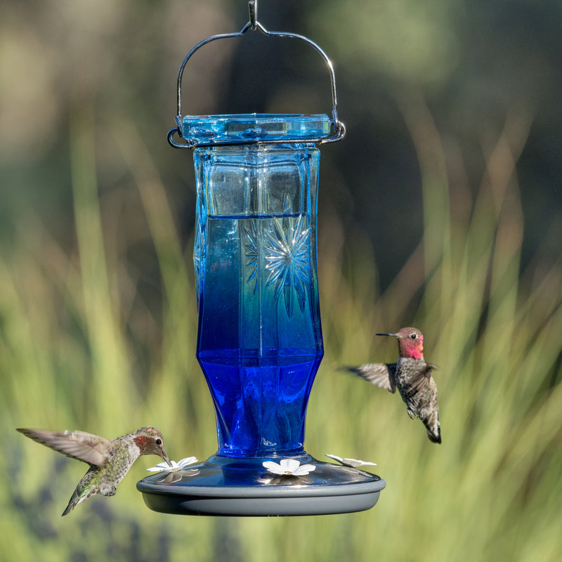 Load image into Gallery viewer, Perky-Pet Hummingbird 16 oz Glass/Metal Nectar Feeder 4 ports
