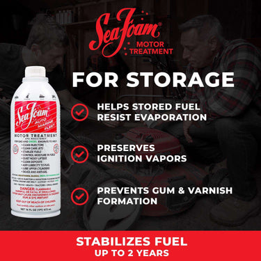 Sea Foam Gasoline/2 and 4 Cycle Engine Motor Treatment 16 oz