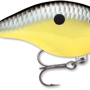 Rapala DT® (Dives-To) Series 2-1/2" DT10 (Old School)