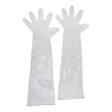 Allen Field Dressing Gloves (2 Pack)