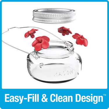 Nature's Way Hummingbird 6 oz Glass Mason Jar Bird Feeder 4 ports
