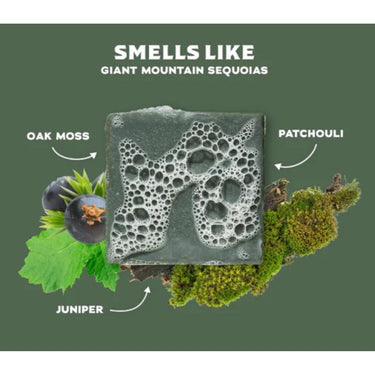 Dr. Squatch Sierra Storm Scent Bar Soap 5 oz