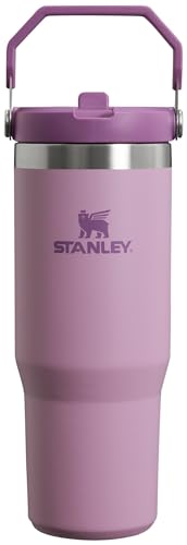 Stanley IceFlow Stainless Steel Tumbler - Vacuum Insulated Water Bottle  Reusable Cup with Straw Leak Resistant Flip