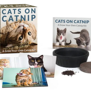 Cats on Catnip