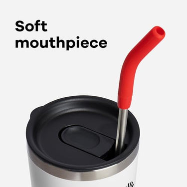 Hydro Flask Stainless Steel Straw Set (Goji)