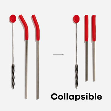 Hydro Flask Stainless Steel Straw Set (Goji)