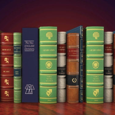 Bulldog Deluxe Diversion Book Safe