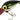 Brad's Wiggler Series Wiggler Green Pirate