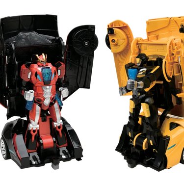 Auto Moto: Battling Robots