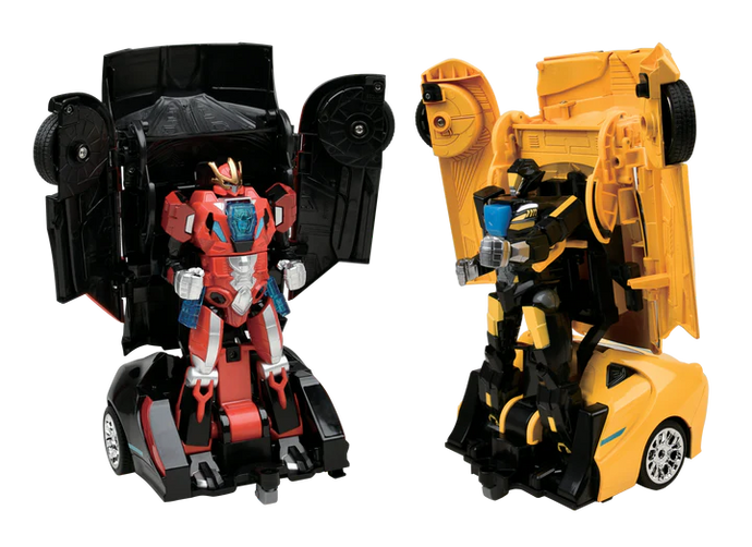 Auto Moto: Battling Robots