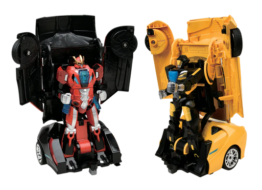 Auto Moto: Battling Robots