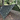 Dry Top 20 X 30 Green Camouflage Polyethylene Tarp