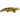 Douglas Stream Line Alligator