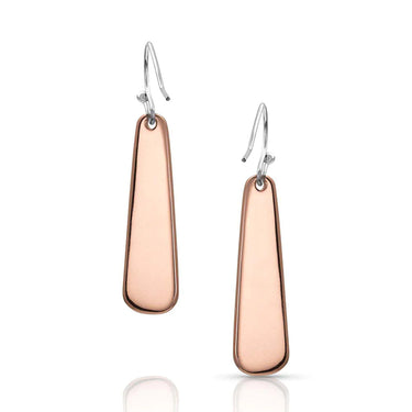 Montana Silversmiths Desert Sun Cactus Earrings