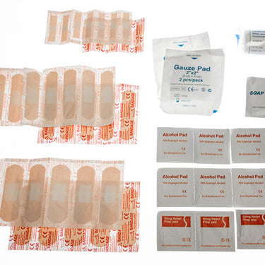 55-Piece Travel First Aid Kit Stored in a Reusable Bag