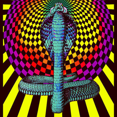 Spellbound Cobra