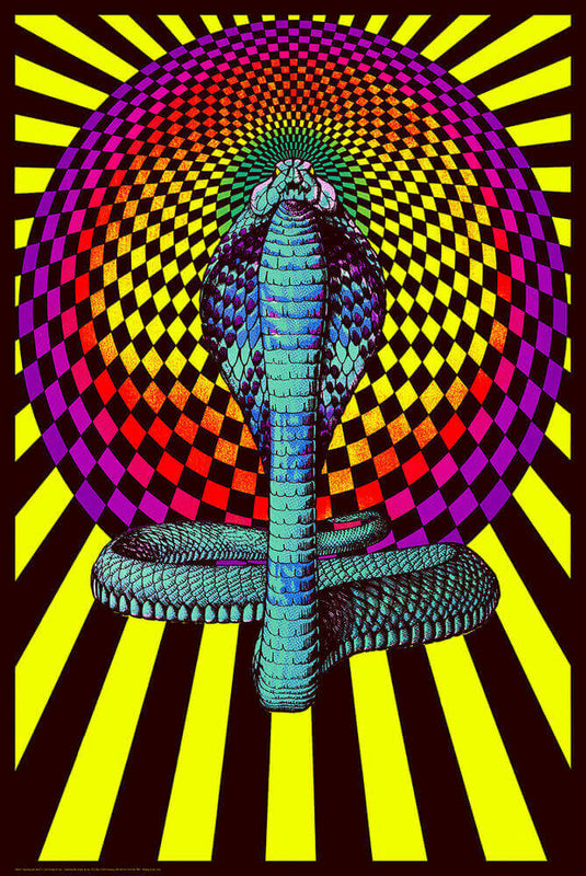 Spellbound Cobra