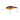 Berkley Flicker Shad Jointed 1/4oz (Slick Purple Bengal) Size 7