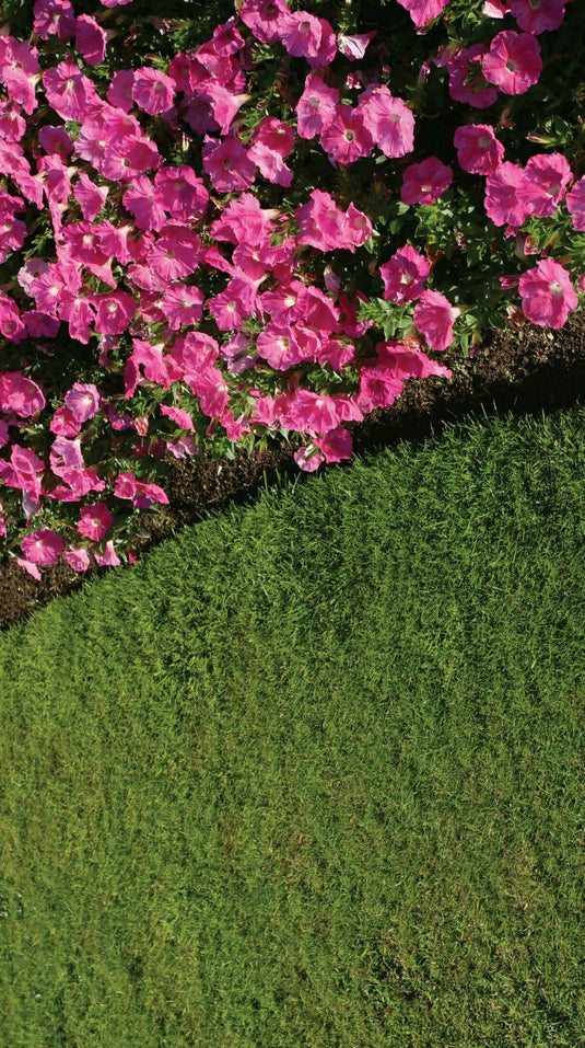 May Plant Sale