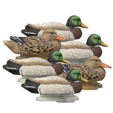 Standard Mallard Filler Pack