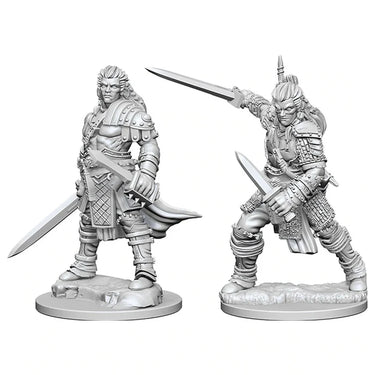 Pathfinder Deep Cuts Unpainted Miniatures: W01 Human Male Fighter
