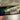 Evergreen SB 77.7 Top Water Ice Fish