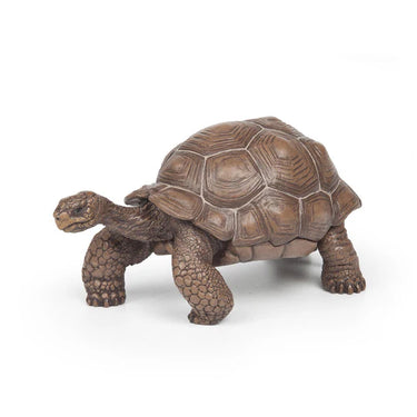 Papo - Galapagos Tortoise