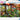 Jigsaw Puzzle Kyoto Japanese Garden Teahouse - 1000 Pieces Puzzle