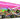 Brad's Kokanee Cut Plugs Pink Magic Single