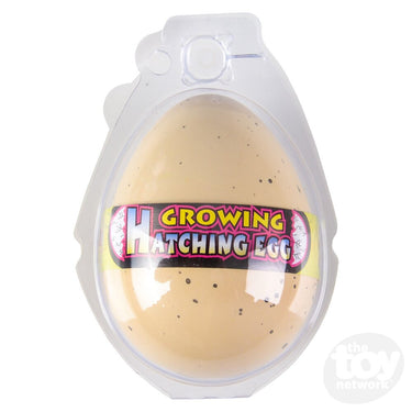2.5" Growing Turtle Egg