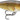 Rapala Shad Rap 2" Medium Diving Crankbait SR05 (Walleye)