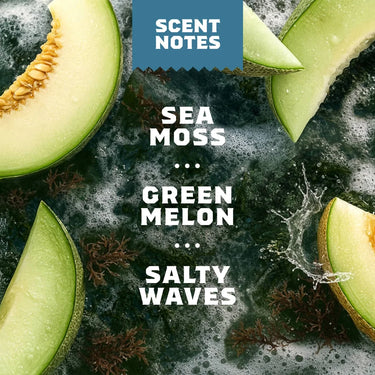 Dr. Squatch Coastal Mist Invisible Glide Deodorant