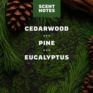 Dr. Squatch Pine Tar 14oz Body Wash