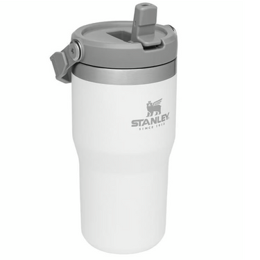 Stanley IceFlow 20 oz Polar BPA Free Insulated Straw Tumbler