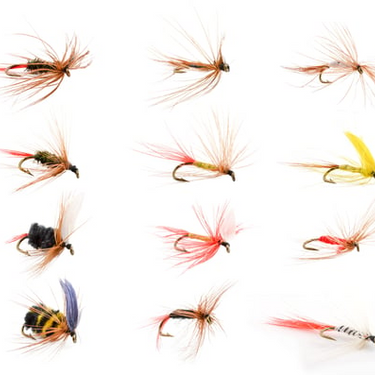 Danielson Trout Fly Assortment Size 10