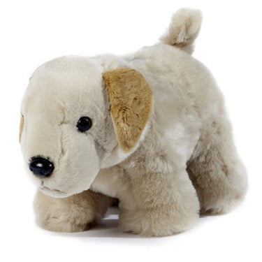 Carstens Yellow Lab Dog Coin Bank