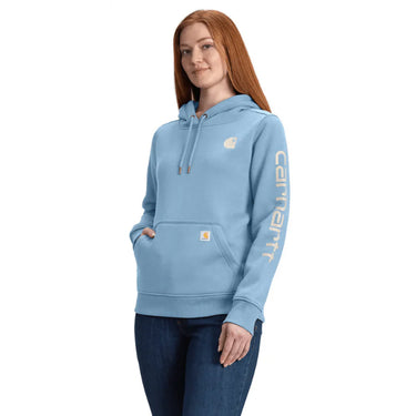 Carhartt Women's Relaxed Fit Midweight Logo Sleeve Graphic Hoodie (Pink Salmon Heather) Size 3XL