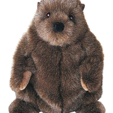 Douglas Chuckwood Groundhog