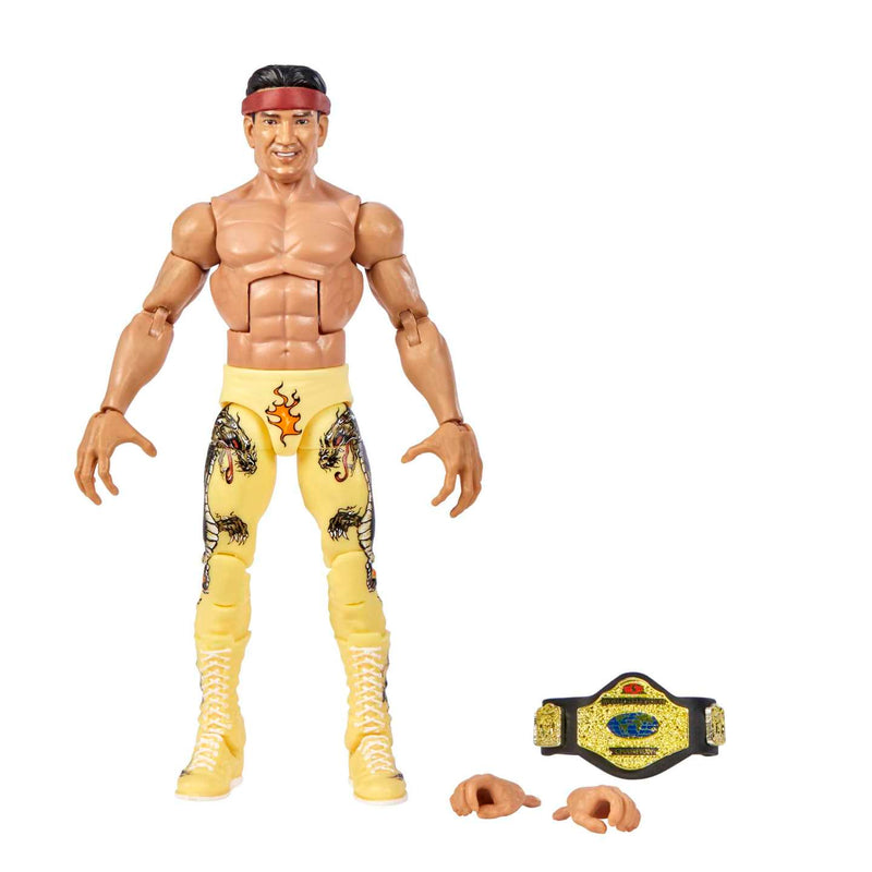 Load image into Gallery viewer, WWE ELITE FIG COLLECTION (1 FIGURE PER PURCHASE AT RANDOM)
