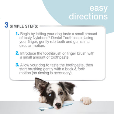 Nylabone Advanced Oral Care Dog Dental Kit