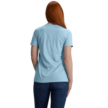 Carhartt Women's TENCEL™ Fiber Series Relaxed Fit Short-Sleeve Graphic V-Neck T-Shirt (Fresh Water) Size XXL