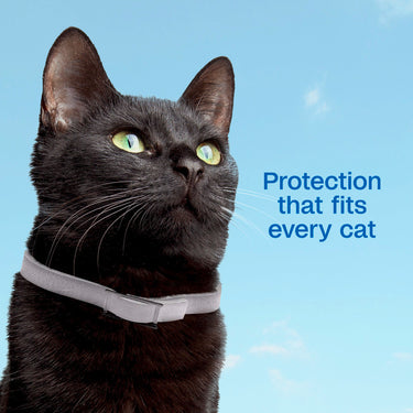 ADAMS Plus Flea & Tick Collar for Cats