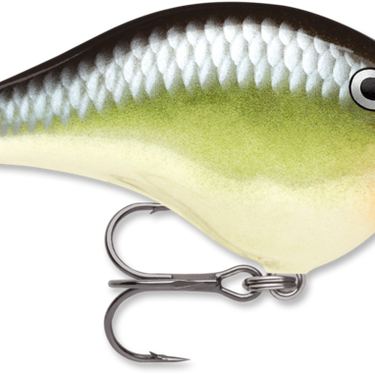 Rapala DT® (Dives-To) Series 2" DT08 (Smash)