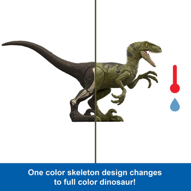 Split view of a raptor figure showing the skeleton design on one side and the full color deco on the other