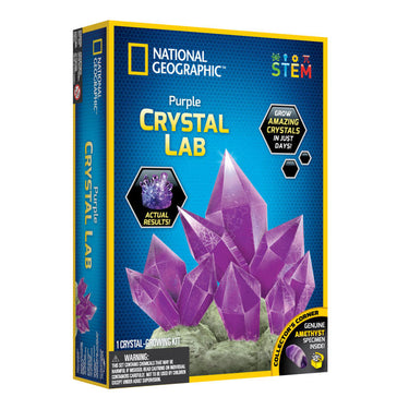 National Geographic Purple Crystal Growing Lab