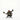 D&D Frameworks: Dwarf Cleric Female - Unpainted And Unassembled